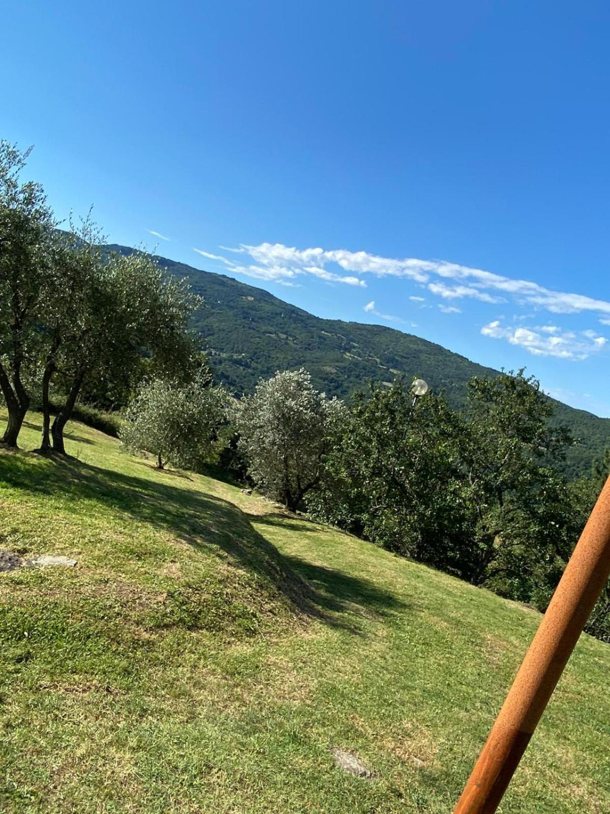 Locanda Di Praticino Rufina Exterior photo